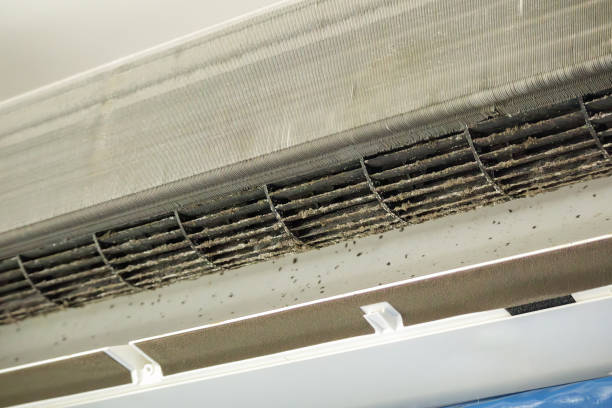 Best Air Vent Cleaning Services  in White Bear Lake, MN